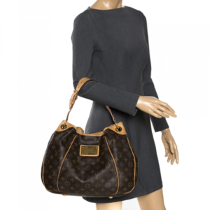 Louis Vuitton Monogram Galleria